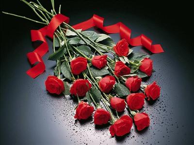 Roses