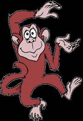 Monkey