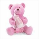 PINK TEDDY