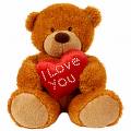 TEDDY BEAR