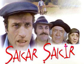 sakarsın