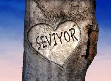  Seviyor