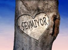 Sevmiyor