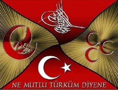 Bayrak,hilal,tuğra,kurt(CcC)