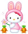 HALLO KITTY CONIGLIETTO