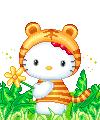 HALLO KITTY TIGROTTO
