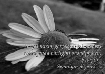 sevmiyor