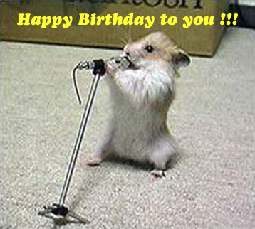 Happy bithday