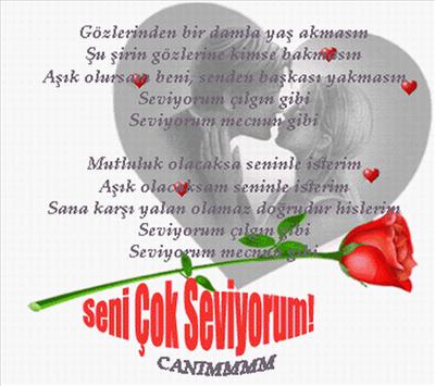 ölümüne aşıksın