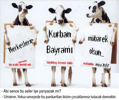 İnekler