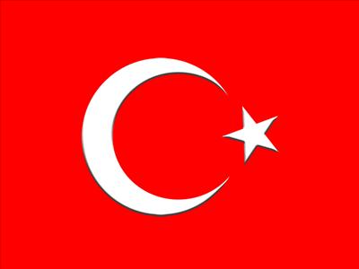 bayrak3