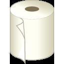 Toilet Paper
