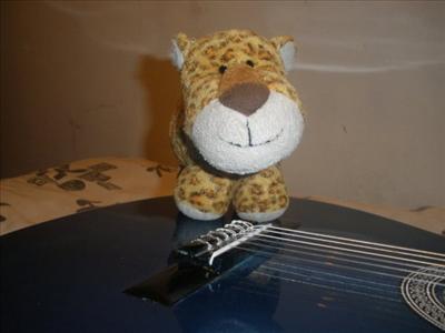 tierno