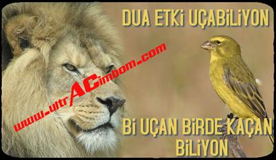 ezikfbli