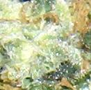 1 x oz of Northern Lights