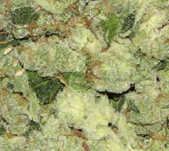 1 x oz of Big King