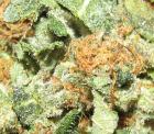 1 x oz of Stinky