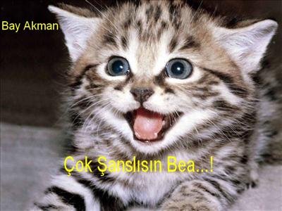 Şanslısın Bea...!