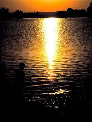 Sunlight ~ ! .