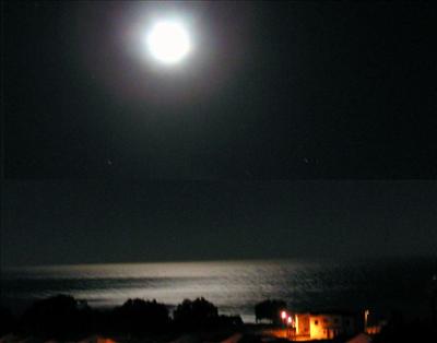 Moonlight ~ ! .