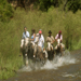 Trip to Argentina