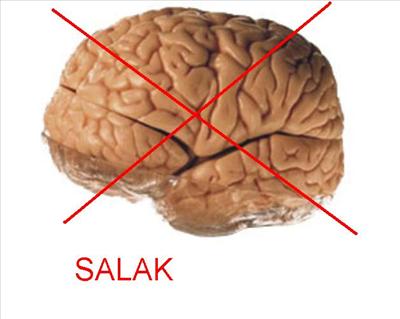 Salaksın!