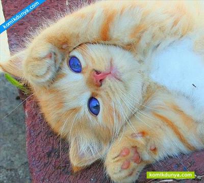 SESSİZ-SAKİN