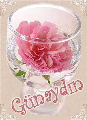 GÜNAYDIN..:)))