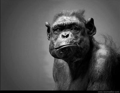 BUGÜN iyi değilsiniz