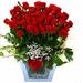 Digital Gift10