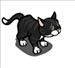 Black Kitten