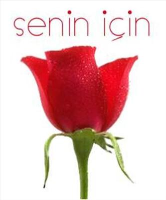 gül7