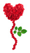 my amity 4u