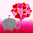 my amity 4u