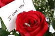 my amity 4u