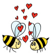 my amity 4u