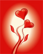 my amity 4u