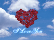 my amity 4u