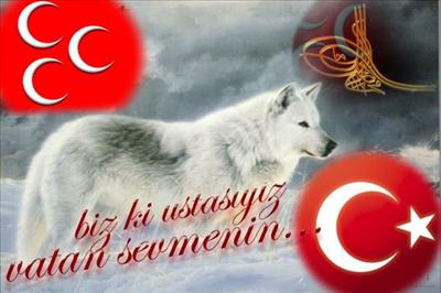 BOZKURT7