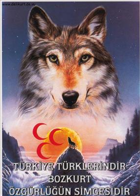 BOZKURT4