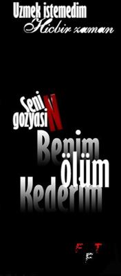 sevmiyorsun