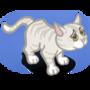 White Kitty
