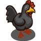 Black chicken