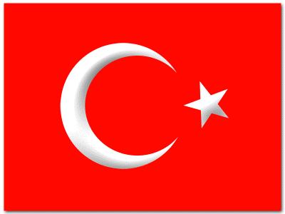 Türk Değilsin