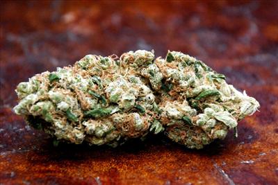 Sour Diesel
