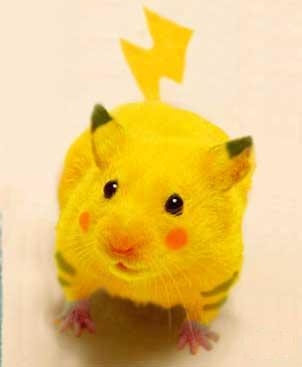 Pika