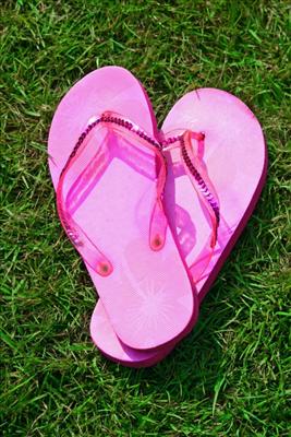 Flip Flops