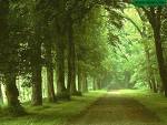 huzur 2