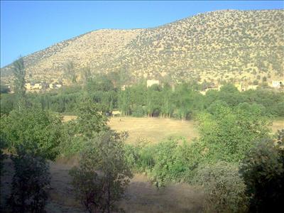 şanslı
