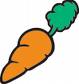 Carrot